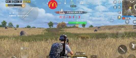 和平精英麦当劳辅助最新(和平精英麦当劳使用教程)