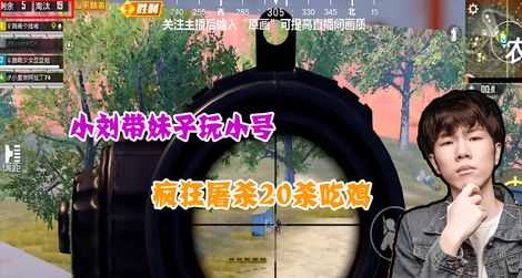 虐肠和平精英辅助(和平精英虐杀辅助)