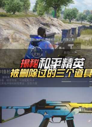 和平精英15个辅助武器（和平精英辅助装置）