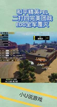 和平精英edg辅助完整版(和平精英edg辅助完整版视频)