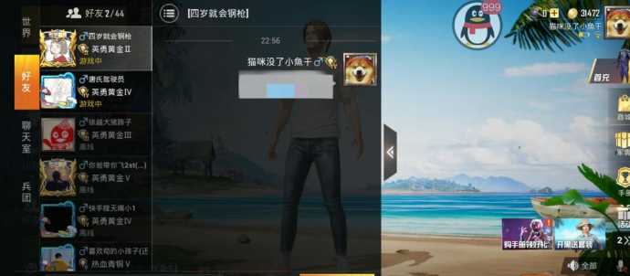 和平精英直播辅助包是什么(和平精英主播内部辅助定制)