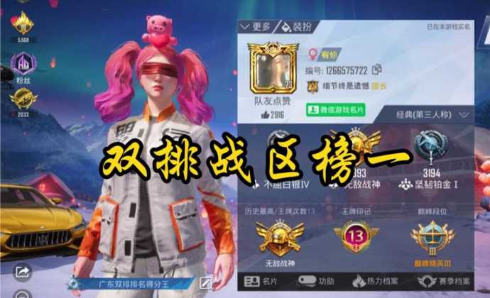 龙战神和平精英辅助(和平精英战神辅助官网)