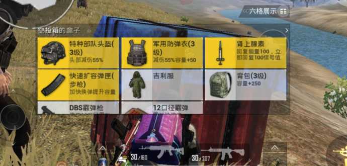 和平精英战术辅助加什么(和平精英战术辅助加什么伤害最高)