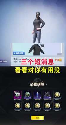 诗人和平精英辅助(辅助 和平精英)