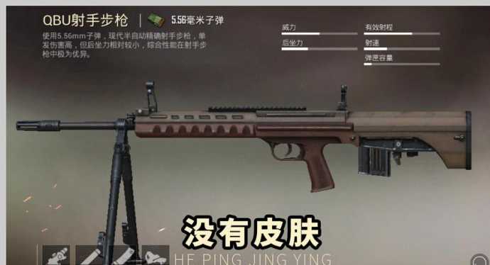 和平精英狙击手需要的辅助功能(和平精英狙击手应该拿什么两把枪)