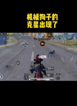 和平精英狗子辅助教程(和平精英狗子辅助官网)