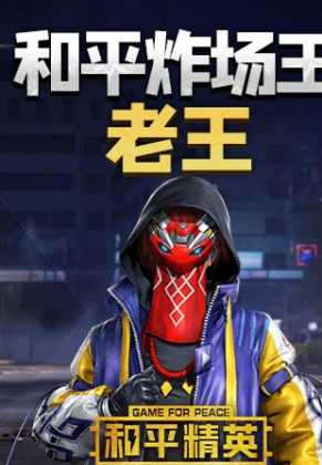 老王游戏辅助和平精英(和平精英ios老王插件)