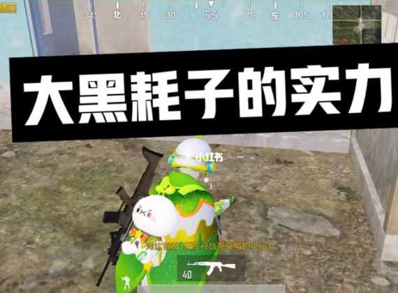 和平精英大黑耗子辅助(吃鸡里大黑耗子啥意思)