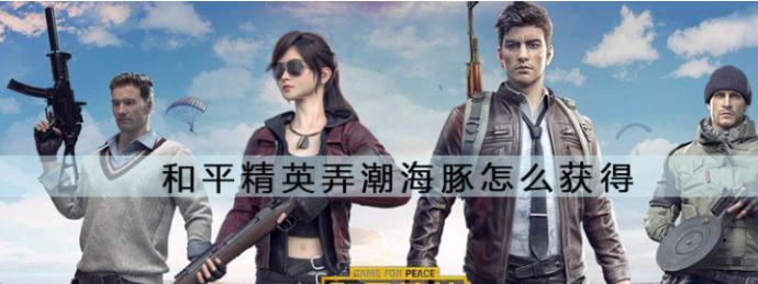 海豚和平精英辅助(海豚辅助官网)