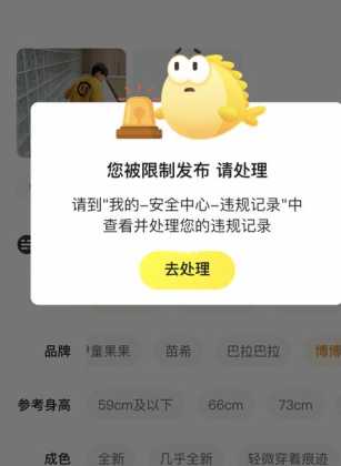 咸鱼的和平精英辅助会被封号吗(和平精英闲鱼走平台可靠吗)