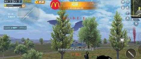 和平精英麦当劳辅助app(和平精英麦当劳直装破解版)