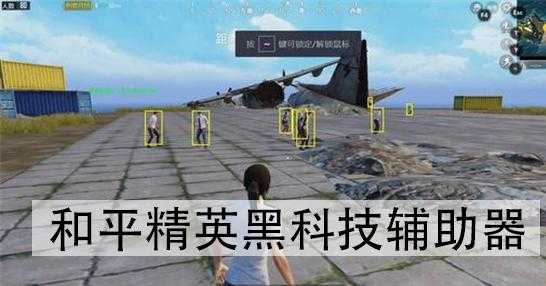 和平精英黑幕辅助（和平精英黑科技辅助器官网）