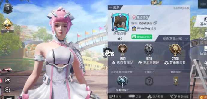 和平精英奶妈辅助谁最强(奶妈辅助主什么副什么)