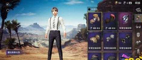 和平精英蔡徐坤辅助(和平精英ch辅助下载)