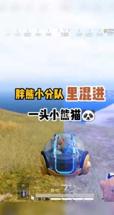 和平精英肥熊辅助(和平精英小熊猫辅助)