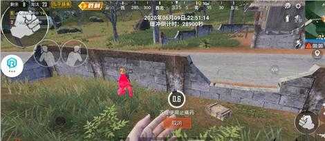 和平精英辅助心柔(和平精英辅助心柔破解版大全)