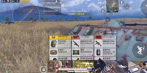 和平精英辅助灭霸(和平精英灭神辅助)