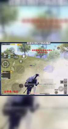 和平精英东北虎辅助在哪买(和平精英东北主播有谁)