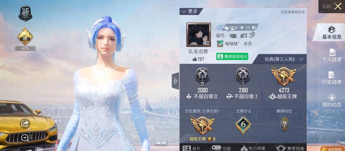 竹叶裙和平精英辅助(竹叶群和平精英)