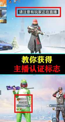 和平精英主播定制辅助揭秘(和平精英辅助主播私人订制)