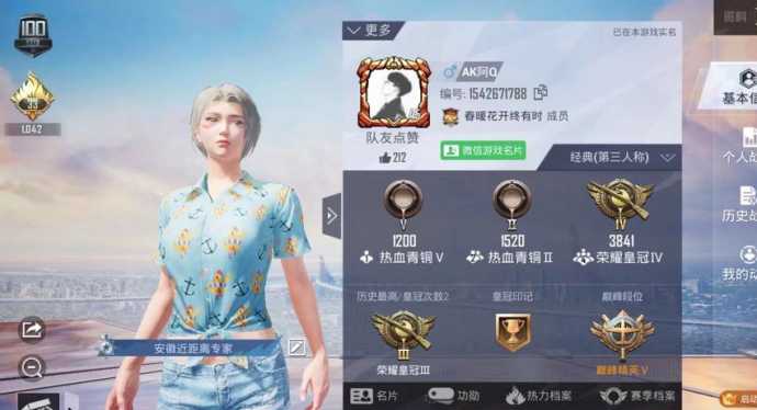 陪玩和平精英辅助介绍(和平精英的陪玩介绍)