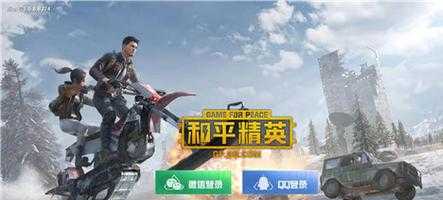 和平精英辅助一天多少钱(和平精英端游辅助)