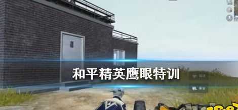 和平精英鹰眼辅助器(和平精英的鹰眼特训视频大全)