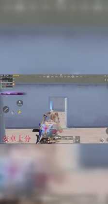 和平精英小鱼辅助软件叫什么（小鱼儿和平精英）