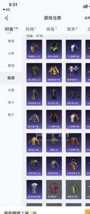和平精英预言家上色辅助(和平精英预言家辅助怎么用)