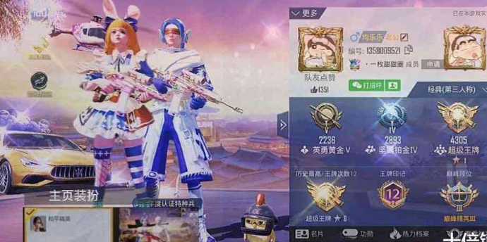 和平精英小蜜蜂辅助官网(刺激战场小蜜蜂)