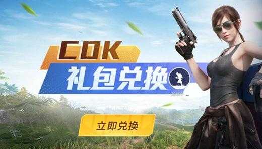 和平精英辅助激活码批发(和平精英免费领cdk兑换码辅助)