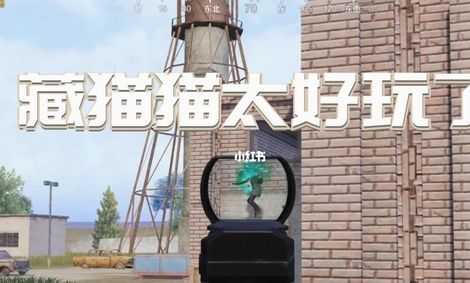 和平精英猫猫辅助(和平精英猫猫辅助软件)