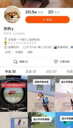和平精英热狗辅助(和平精英山狗辅助)