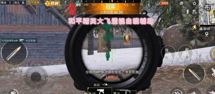 和平精英大飞辅助最新版（大雕和平精英辅助）