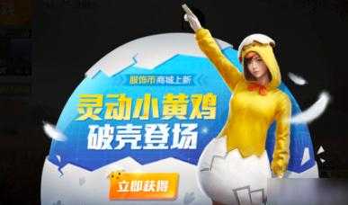 和平精英小黄鸡辅助卡密(和平精英小鸡挂件)
