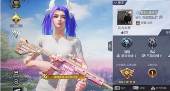 和平精英龙王辅助能用不(和平精英王牌辅助)